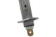 Diode Dynamics H1 Yellow SL2 LED Bulb (one) - DD0470S User 5