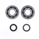 Athena 05-08 Suzuki RM 250 Main Bearing & Seal Kit - P400510444049 Photo - Primary