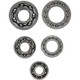 Hot Rods 09-13 Honda TRX 420 FPA IRS 420cc Transmission Bearing Kit - HR00078 Photo - Primary