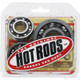Hot Rods 09-13 Honda TRX 420 FPA IRS 420cc Transmission Bearing Kit - HR00078 Photo - Primary