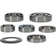Hot Rods 18-21 Honda CRF 250 R 250cc Transmission Bearing Kit - HR00158 Photo - Primary