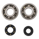 Hot Rods 87-01 Kawasaki KX 250 250cc Main Bearing & Seal Kit - K005 Photo - Primary