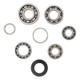 Hot Rods 07-09 Honda CRF 250 R 250cc Transmission Bearing Kit - TBK0008 Photo - Primary