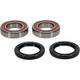 Pivot Works Eton, Yamaha Wheel Bearing Kit Premium Bearings - 25-1315-P Photo - Primary