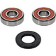 Pivot Works Kawasaki, Suzuki Wheel Bearing Kit Premium Bearings - 25-1353-P Photo - Primary
