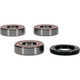 Pivot Works Suzuki Wheel Bearing Kit Premium Bearings - 25-1582-P Photo - Primary