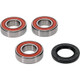 Pivot Works Suzuki Wheel Bearing Kit Premium Bearings - 25-1582-P Photo - Primary