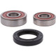Pivot Works Honda Wheel Bearing Kit Premium Bearings - 25-1583-P Photo - Primary