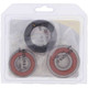 Pivot Works Honda Wheel Bearing Kit Premium Bearings - 25-1583-P Photo - Primary