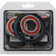 Pivot Works Triumph Wheel Bearing Kit Premium Bearings - 25-1584-P Photo - Primary