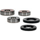 Pivot Works Aprilia, Triumph Wheel Bearing Kit Premium Bearings - 25-1586-P Photo - Primary