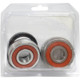 Pivot Works Triumph Wheel Bearing Kit Premium Bearings - 25-1587-P Photo - Primary