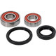 Pivot Works Honda Wheel Bearing Kit Premium Bearings - 25-1596-P Photo - Primary