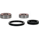Pivot Works Honda Wheel Bearing Kit Premium Bearings - 25-1596-P Photo - Primary