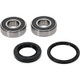Pivot Works BMW, Honda Wheel Bearing Kit Premium Bearings - 25-1601-P Photo - Primary