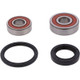 Pivot Works Honda Wheel Bearing Kit Premium Bearings - 25-1602-P Photo - Primary