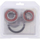 Pivot Works Honda Wheel Bearing Kit Premium Bearings - 25-1602-P Photo - Primary