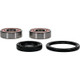 Pivot Works Honda Wheel Bearing Kit Premium Bearings - 25-1604-P Photo - Primary