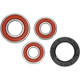 Pivot Works Suzuki Wheel Bearing Kit Premium Bearings - 25-1609-P Photo - Primary