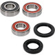 Pivot Works Gas-Gas Wheel Bearing Kit Premium Bearings - 25-1754-P Photo - Primary