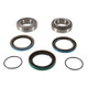 Pivot Works 08-10 Polaris Outlaw 450 PW Rear Wheel Bearing Kit - PWRWK-P10-000 Photo - Primary