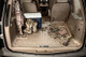 Husky Liners 23-23 Honda CR-V WeatherBeater Cargo & Trunk Liners Black - 24411 Photo - Mounted
