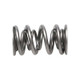 Manley Chevrolet LS1 And LT1 .800 Lift Valve Spring -1.324 Double (Single) - 221421-1 User 2