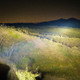 ARB Nacho Grande Supreme 100 Spot Light - PM616 Photo - lifestyle view