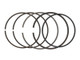 Wiseco 100.25mm Bore - 1.20mm Top - 1.50 mm 2nd - 2.00mm Oil Ring Set - 10025VF Photo - out of package