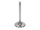 Manley Oldsmobile 330 intake Valve Kit - 2.072in Head Dia. 4.713in O/A Length, 0.3415in Stem - 11548-8 User 2