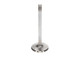 Manley Volkswagen 1.7L Type IV Exhaust Valve Kit - 36.00mm Head Dia. 4.606in O/A Length, 0.3130in - 11629-4 User 2