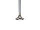 Manley Ford 4.6L Modular V8 Exhaust Valve Kit - 34.00mm Head Dia. 4.650in O/A Length, 0.2740in Stem - 11635-8 User 3