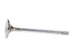 Manley Ford 4.6L Modular V8 Exhaust Valve Kit - 36.00mm Head Dia. 4.650in O/A Length, 0.2740in Stem - 11637B-8 User 1