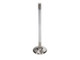 Manley Dodge 8.0L Viper V10 Exhaust Valve Kit - 1.600in Head Dia. 5.97mm O/A Length, 0.3110in Stem - 11647-10 User 2