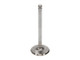 Manley Volkswagen 1.2L Type I Intake Valve Kit - 42.00mm Head Dia. 4.405in O/A Length, 0.3130in Stem - 11652B-4 User 2