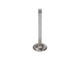 Manley Volkswagen Rabbit Exhaust Valve Kit - 34.00mm Head Dia. 3.976in O/A Length, 0.3130in Stem - 11657-4 User 2