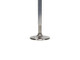 Manley Chevrolet Big Block Exhaust Valve Kit - 1.725in Head Dia. 5.374in O/A Length, 0.3715in Stem - 11835-8 User 3