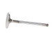 Manley Toyota 5.7L 3UR-FE intake Valve Kit - 38.00mm Head Dia. 106.05mm O/A Length, 0.2155in Stem - 12364-8 User 1