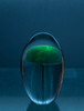Glass Jellyfish 4 1/4? Blue
