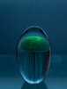 Glass Jellyfish 4 1/4? Blue