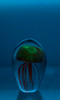Glass Jellyfish 4 1/4? Red