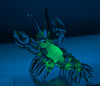Glass Lobster 7"