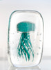 Blue Glass Jellyfish 5 1/2?