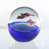 Stingrays Swimming in ball