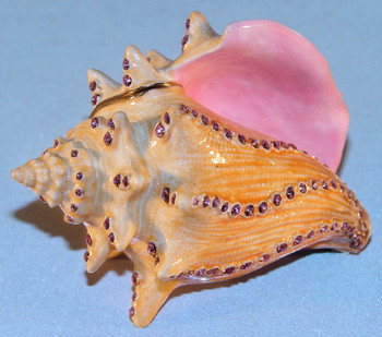 Jeweled "Conch Shell" Box 3"