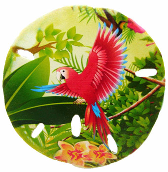 Sand Dollar Magnet (Parrot) 3"