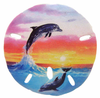 Sand Dollar Magnet (Dolphin Sunset) 3"