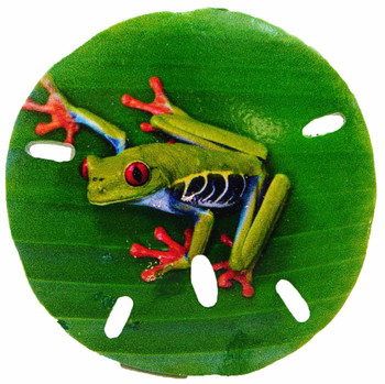 Sand Dollar Magnet (Tree Frog) 3" Sand Dollar Magnet (Tree Frog) 3"