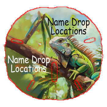 Sand Dollar Magnet (Iguana) 3"