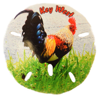 Sand Dollar Magnet Rooster (Key West) 3"